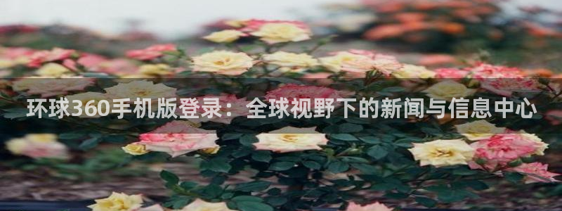 大满贯平台