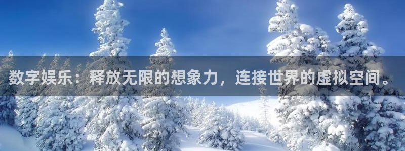 大满贯官网网站