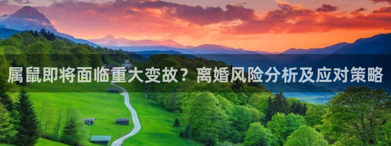 大满贯官网登录入口