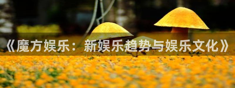大满贯app下载最新版本