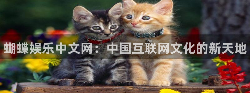 wtt美国大满贯官网
