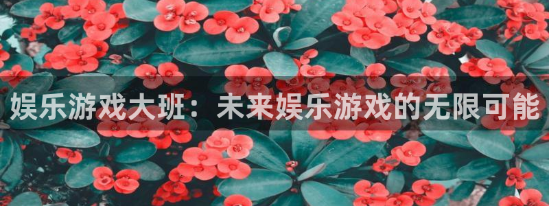 超级大满贯2下载