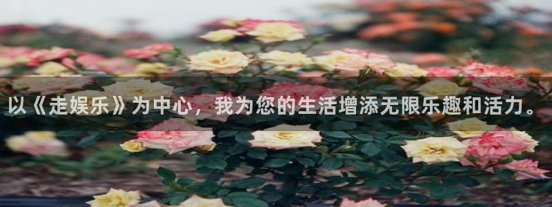 大满贯棋牌网