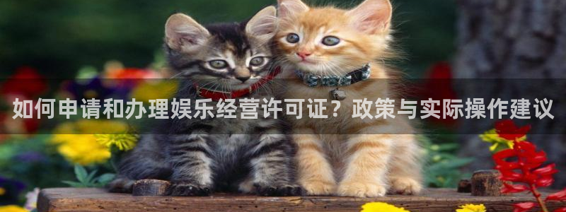怀旧大满贯正版免费下载