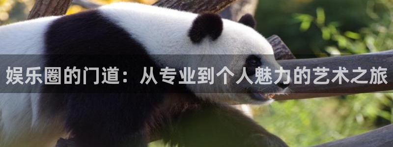 大满贯网址