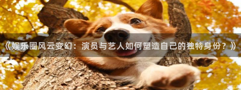 大满贯官网登录入口