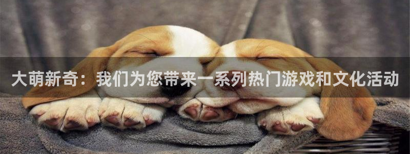 超级大满贯2官网下载