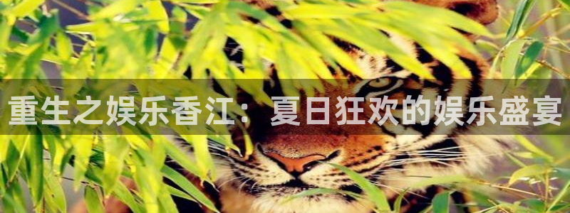 大满贯app官方版下载安装
