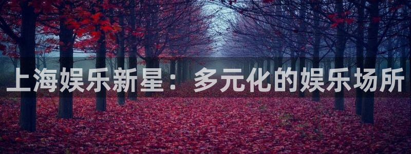 大满贯软件网站