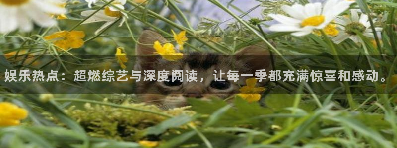 大满贯平台网址dmg588