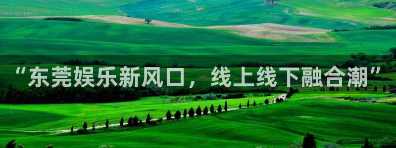 大满贯下载