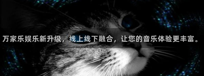 大满贯app登录入口
