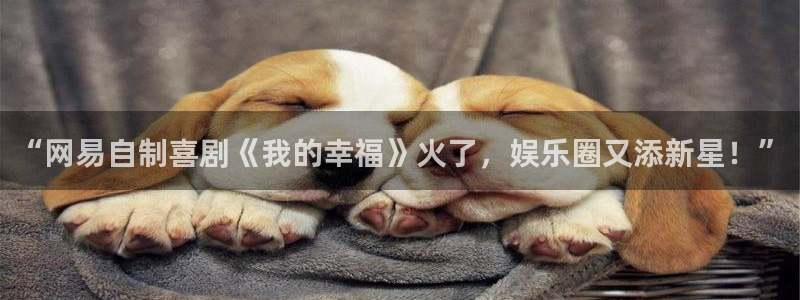 大满贯官网入口下载