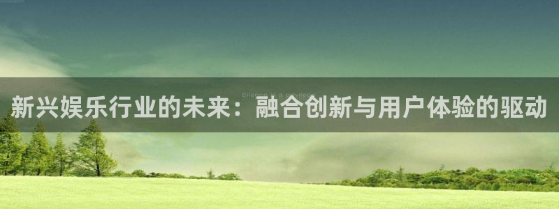 大满贯电子官网