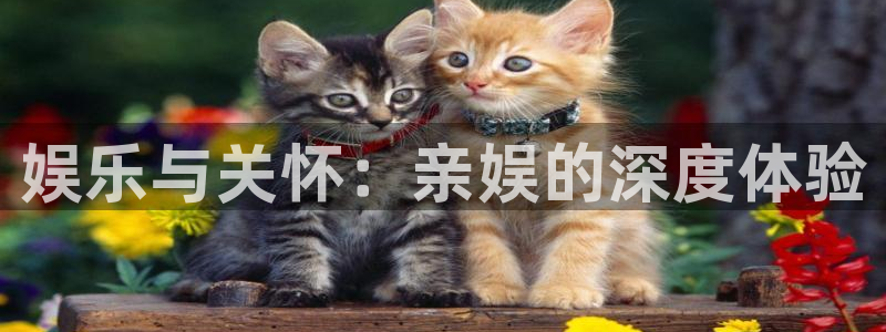 大满贯棋牌网址