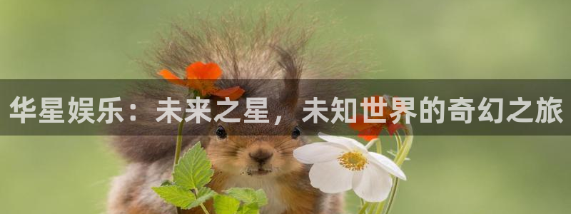 pg大满贯平台官网.