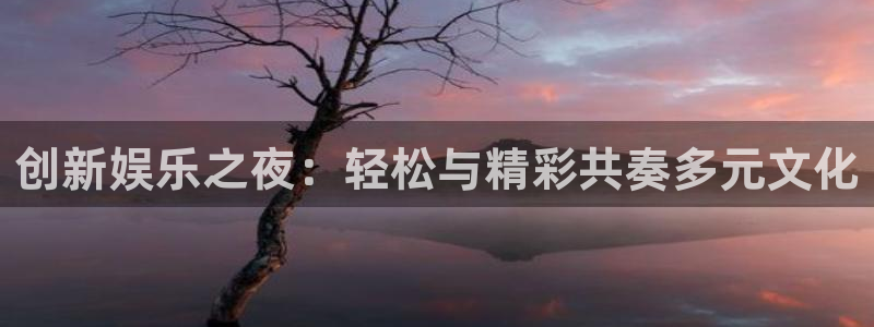 大满贯app官方下载：创新娱乐之夜：轻松与精彩共奏多元文化