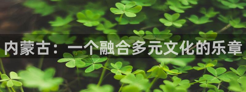 大满贯平台网址dmg588